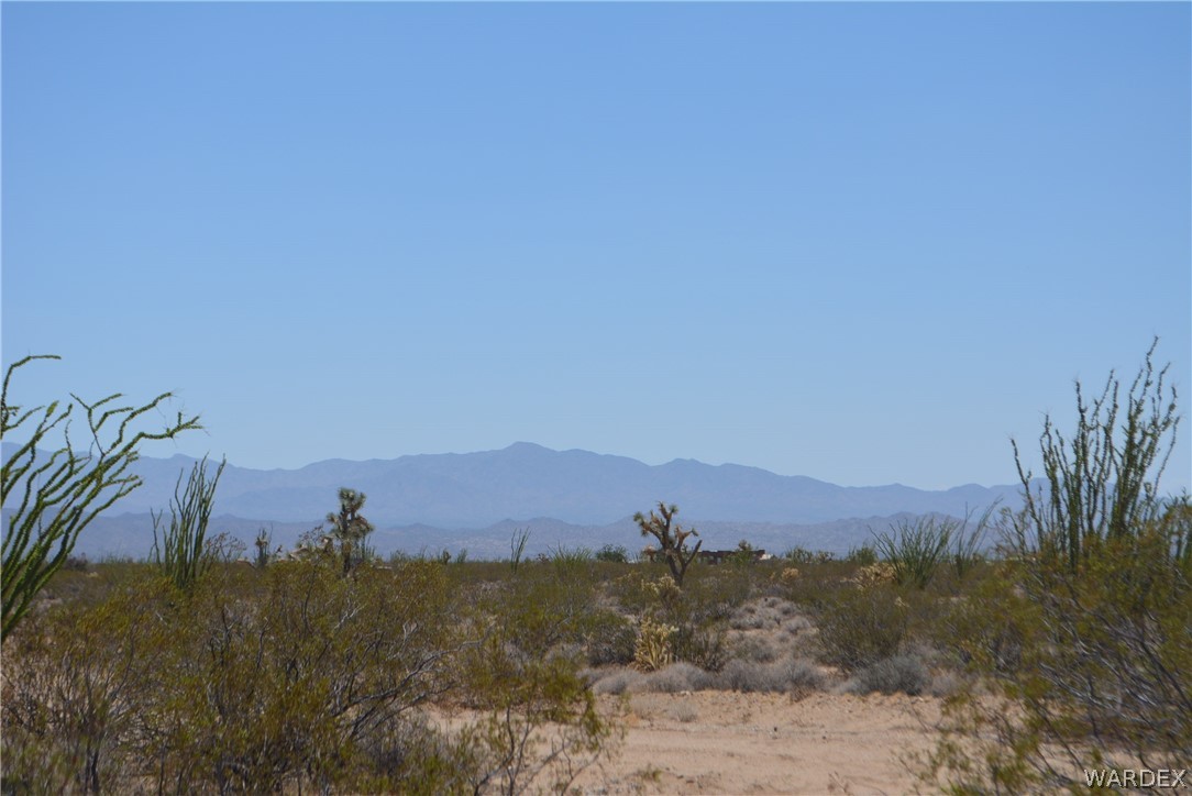 Lot 234 South Cortaro Road Yucca, AZ 86438 - Photo 11 of 23 Gallery Image 11