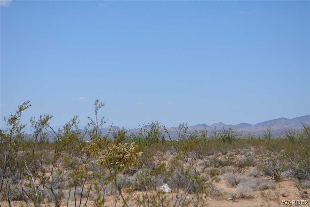 Lot 234 South Cortaro Road Yucca, AZ 86438 - Photo 13 of 23 Gallery Image 13