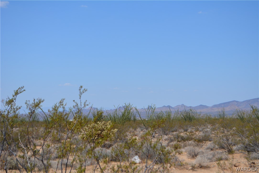 Lot 234 South Cortaro Road Yucca, AZ 86438 - Photo 14 of 23 Gallery Image 14