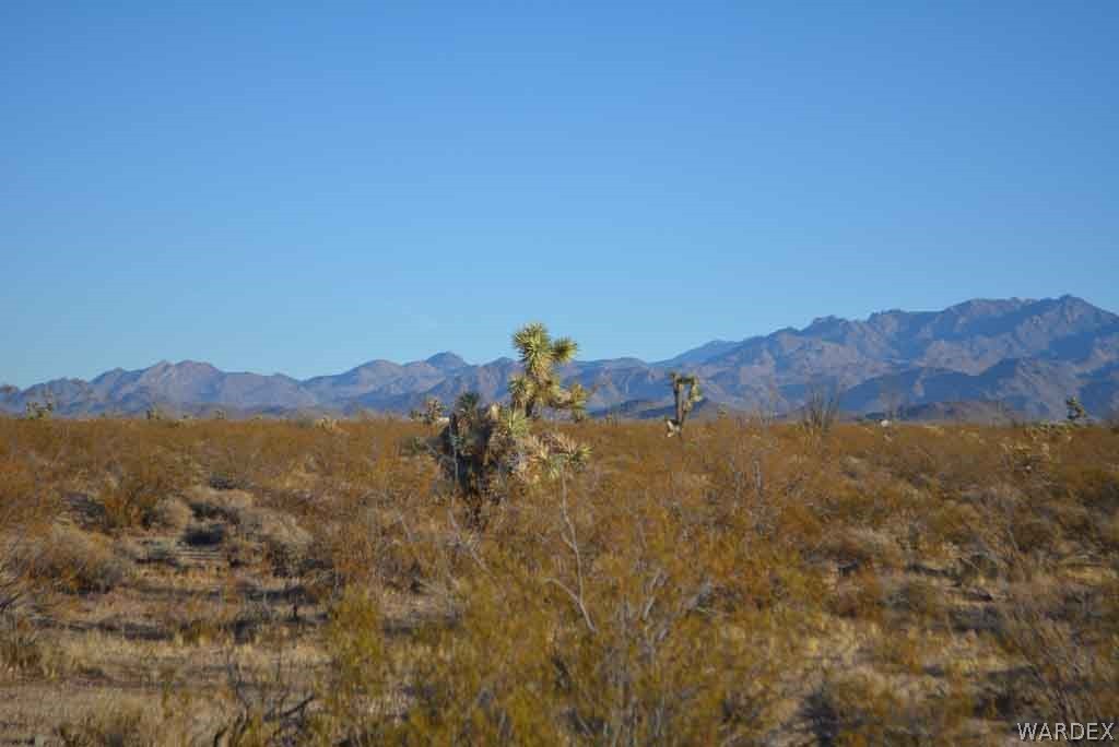 Lot 234 South Cortaro Road Yucca, AZ 86438 - Photo 17 of 23 Gallery Image 17