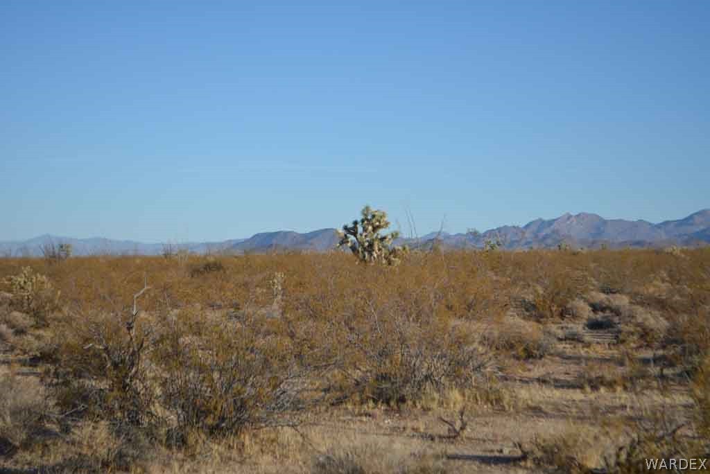 Lot 234 South Cortaro Road Yucca, AZ 86438 - Photo 18 of 23 Gallery Image 18