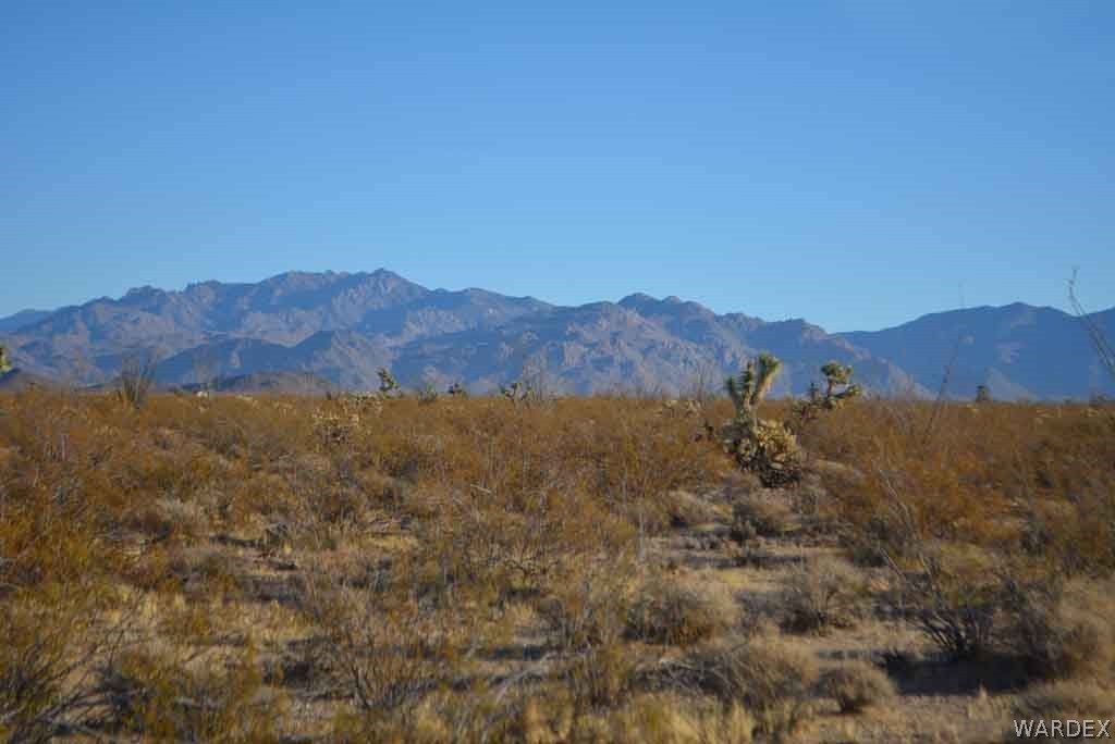 Lot 234 South Cortaro Road Yucca, AZ 86438 - Photo 19 of 23 Gallery Image 19