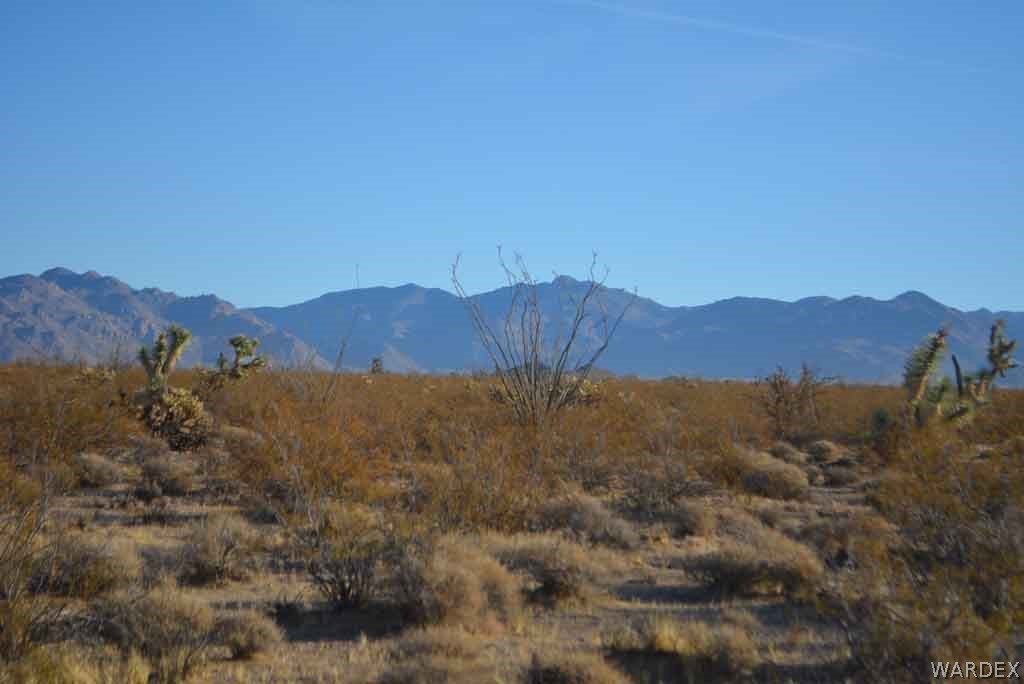 Lot 234 South Cortaro Road Yucca, AZ 86438 - Photo 20 of 23 Gallery Image 20