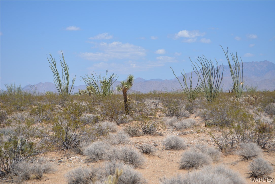 Lot 234 South Cortaro Road Yucca, AZ 86438 - Photo 4 of 23 Gallery Image 4