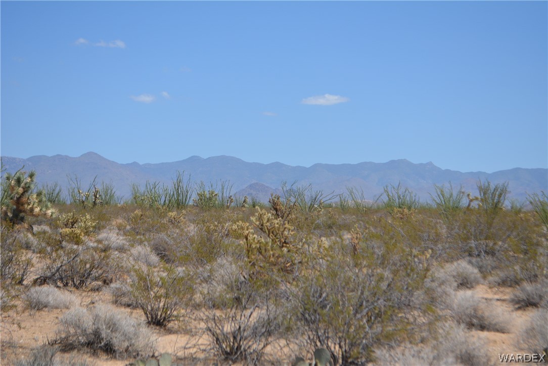 Lot 234 South Cortaro Road Yucca, AZ 86438 - Photo 6 of 23 Gallery Image 6