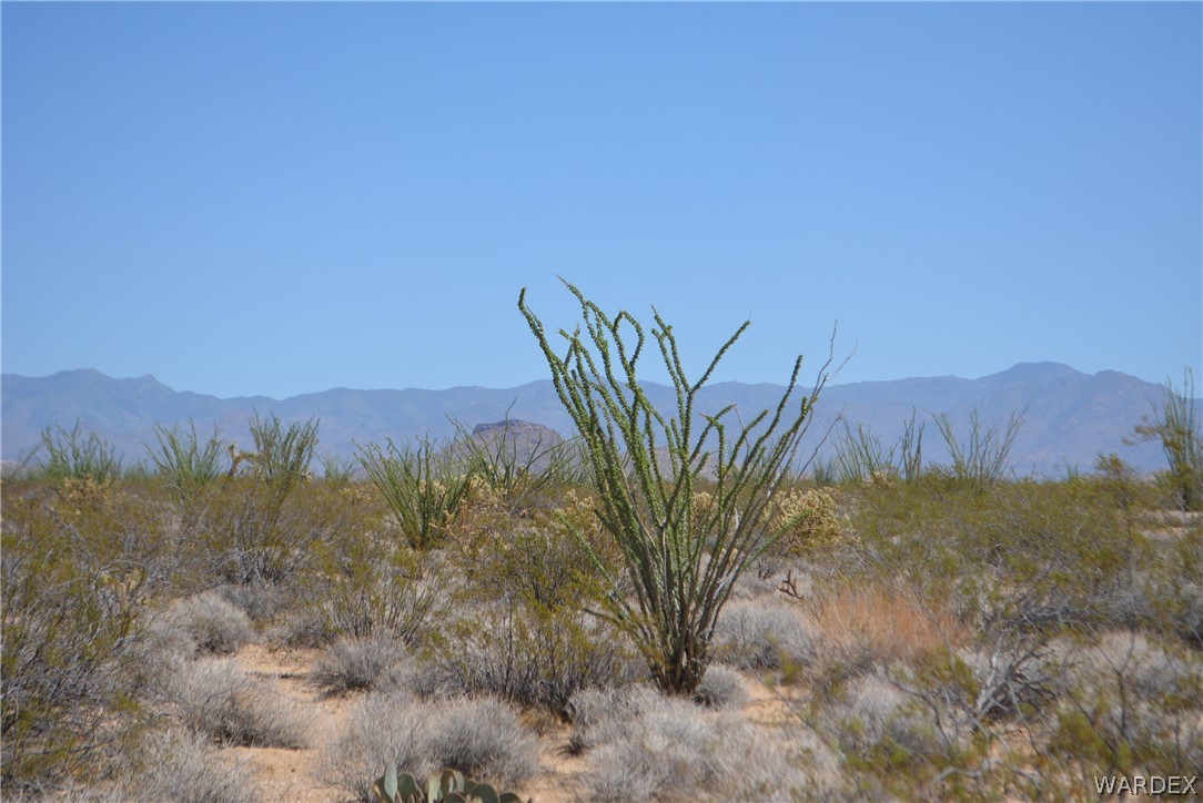 Lot 234 South Cortaro Road Yucca, AZ 86438 - Photo 7 of 23 Gallery Image 7