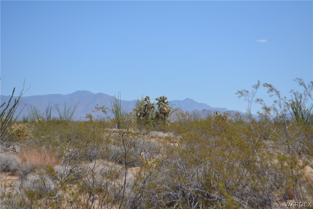 Lot 234 South Cortaro Road Yucca, AZ 86438 - Photo 8 of 23 Gallery Image 8