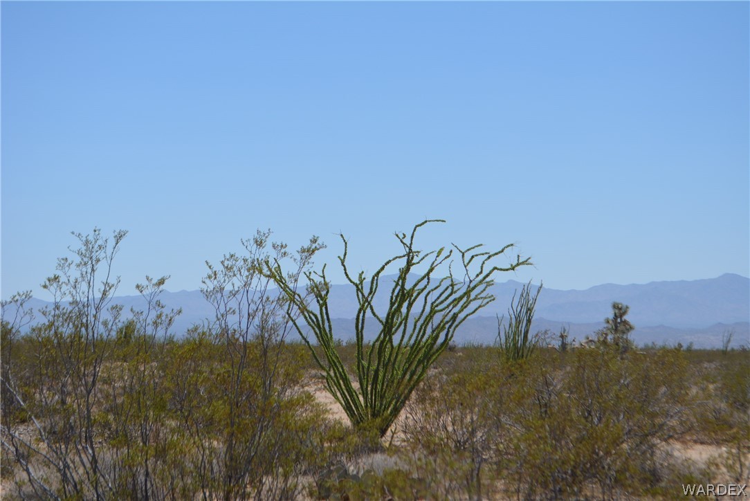 Lot 234 South Cortaro Road Yucca, AZ 86438 - Photo 10 of 23 Gallery Image 10