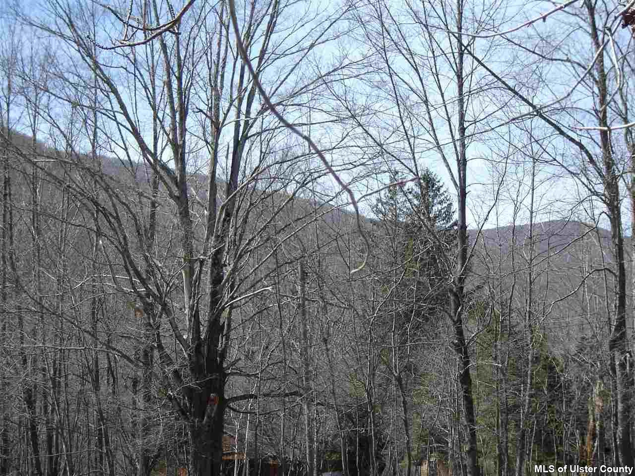 121 Diamond Notch Road Lanesville, NY 12450 - Photo 2 of 10 Photo 2