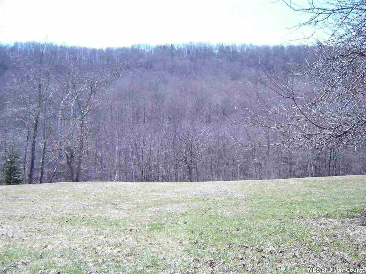 121 Diamond Notch Road Lanesville, NY 12450 - Photo 3 of 10 Photo 3