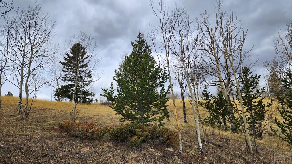 0 County Road Victor, CO 80860 - Photo 13 of 21