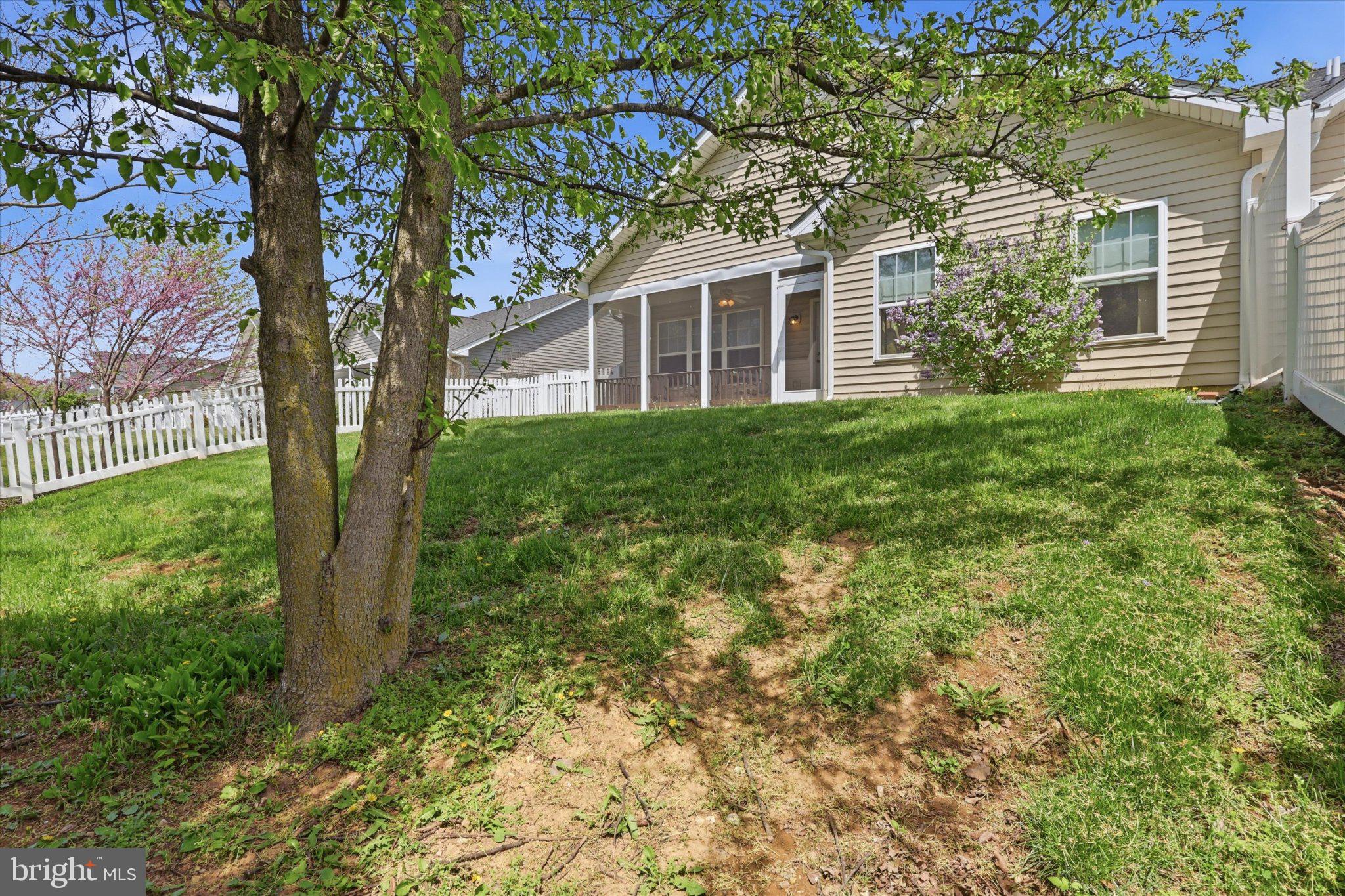 75 Saffron Terrace Falling Waters, WV 25419 - Photo 44 of 46 Charming backyard with lush greenery.