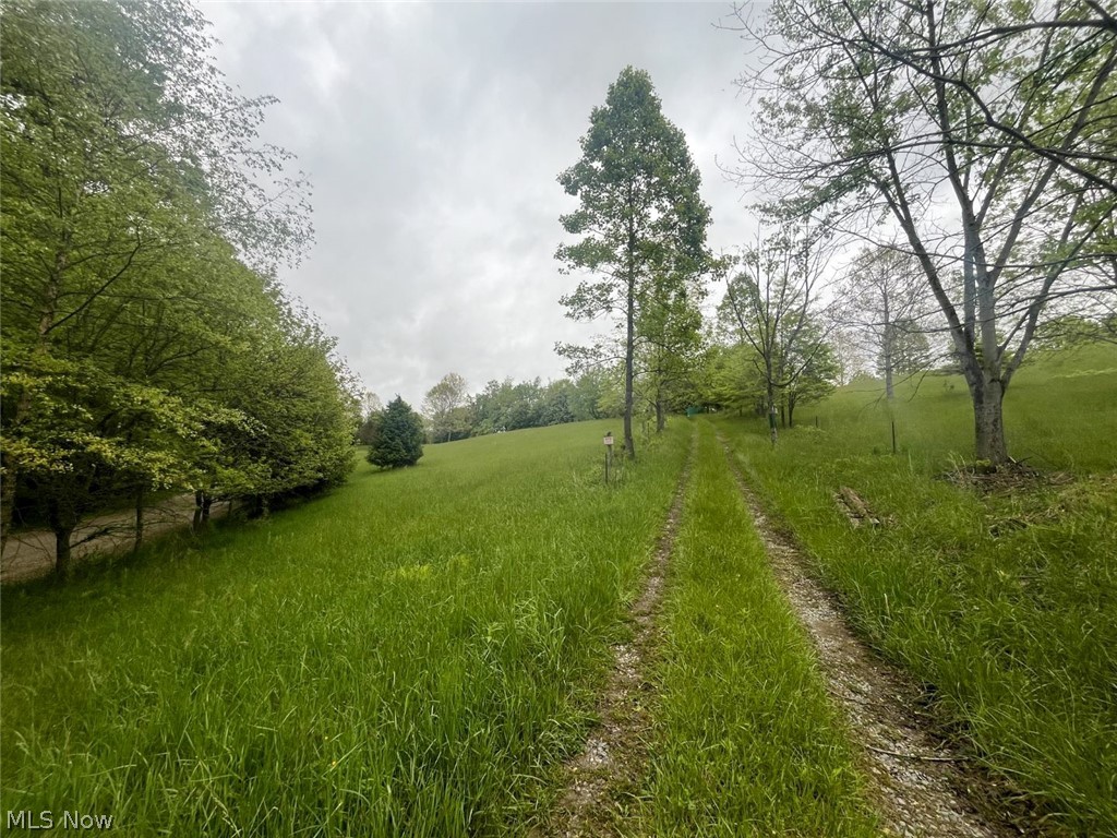 87085 Crall Road Scio, OH 43988 - Photo 13 of 17