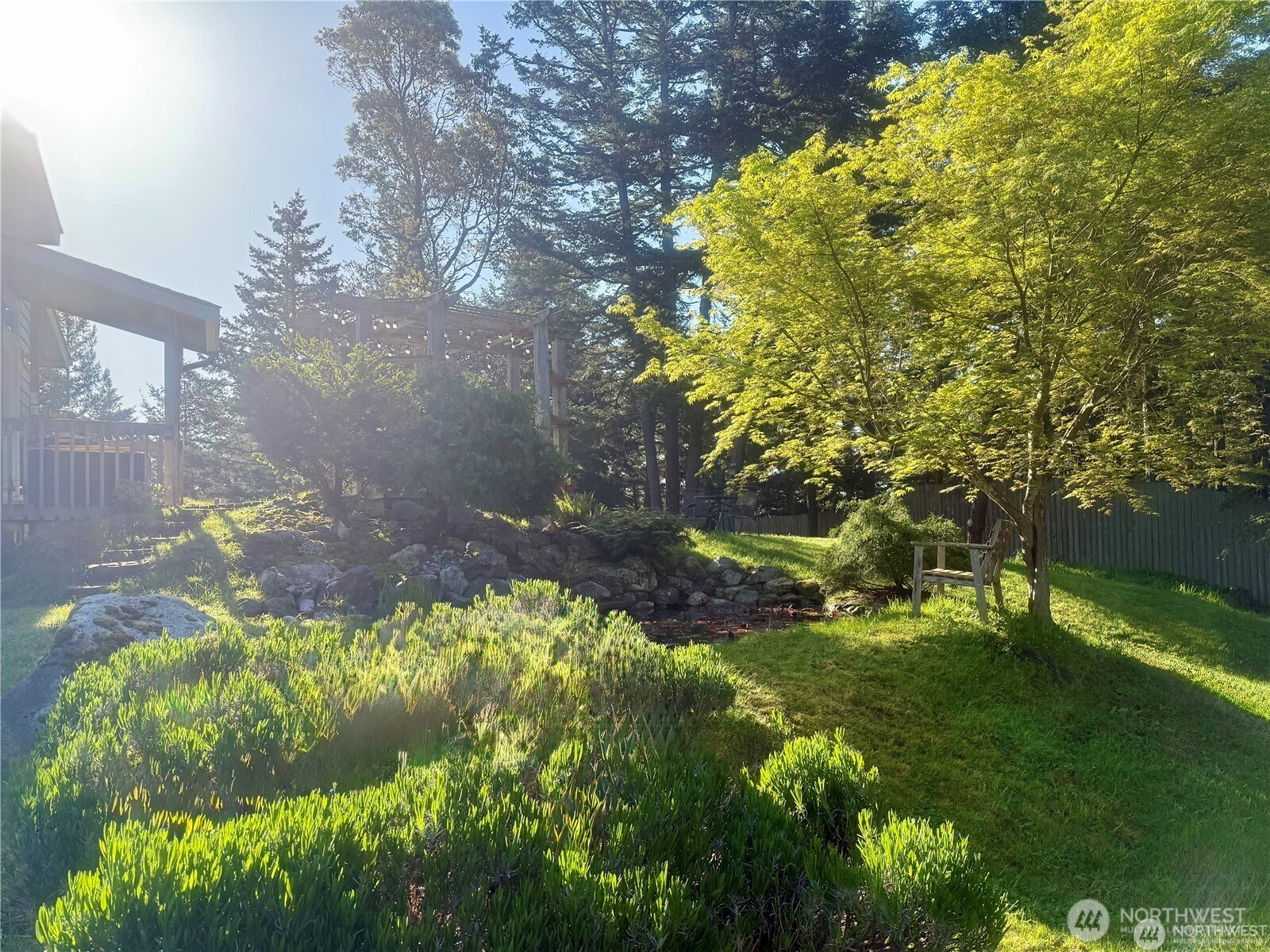 168 Jackson Road Orcas Island, WA 98245 - Photo 11 of 40 a view of a garden with plants and large trees