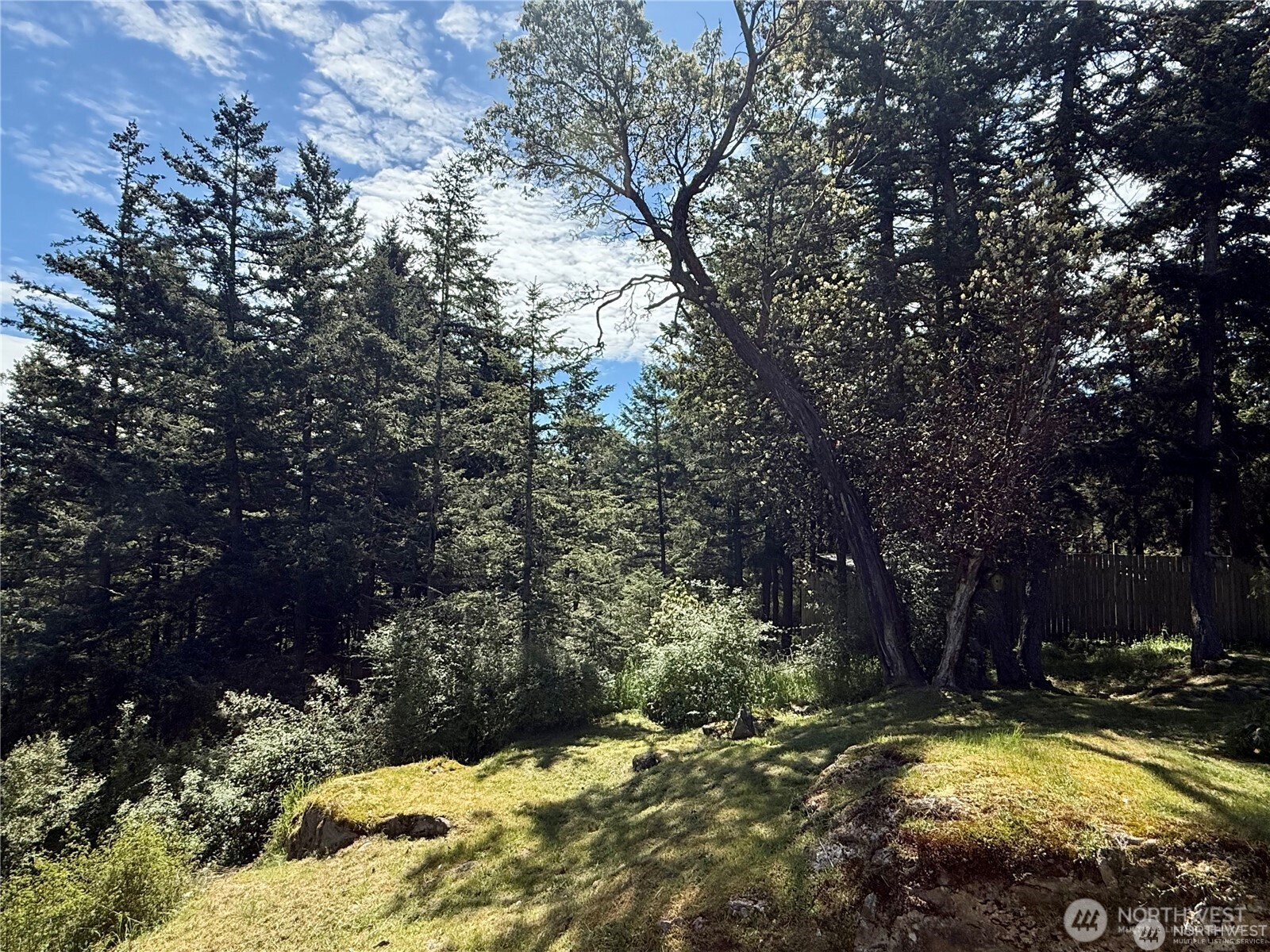 168 Jackson Road Orcas Island, WA 98245 - Photo 40 of 40 a view of swimming pool with lawn chairs and plants