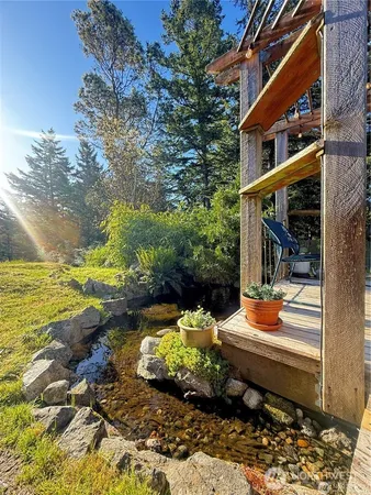 a view of a garden with plants and large trees