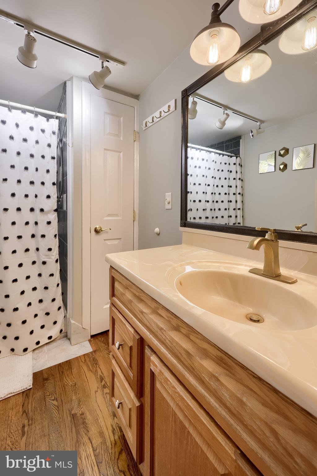 920 Chestnut Street Akron, PA 17501 - Photo 23 of 41 a bathroom with a bathtub and a shower