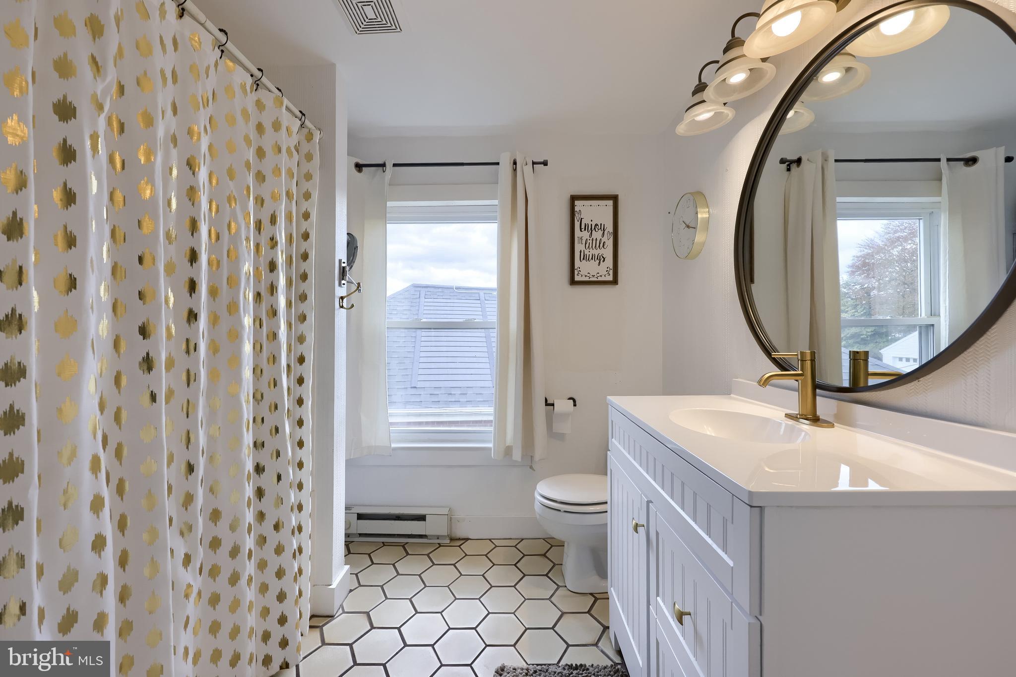 920 Chestnut Street Akron, PA 17501 - Photo 33 of 41 a bathroom with a sink a toilet and a mirror