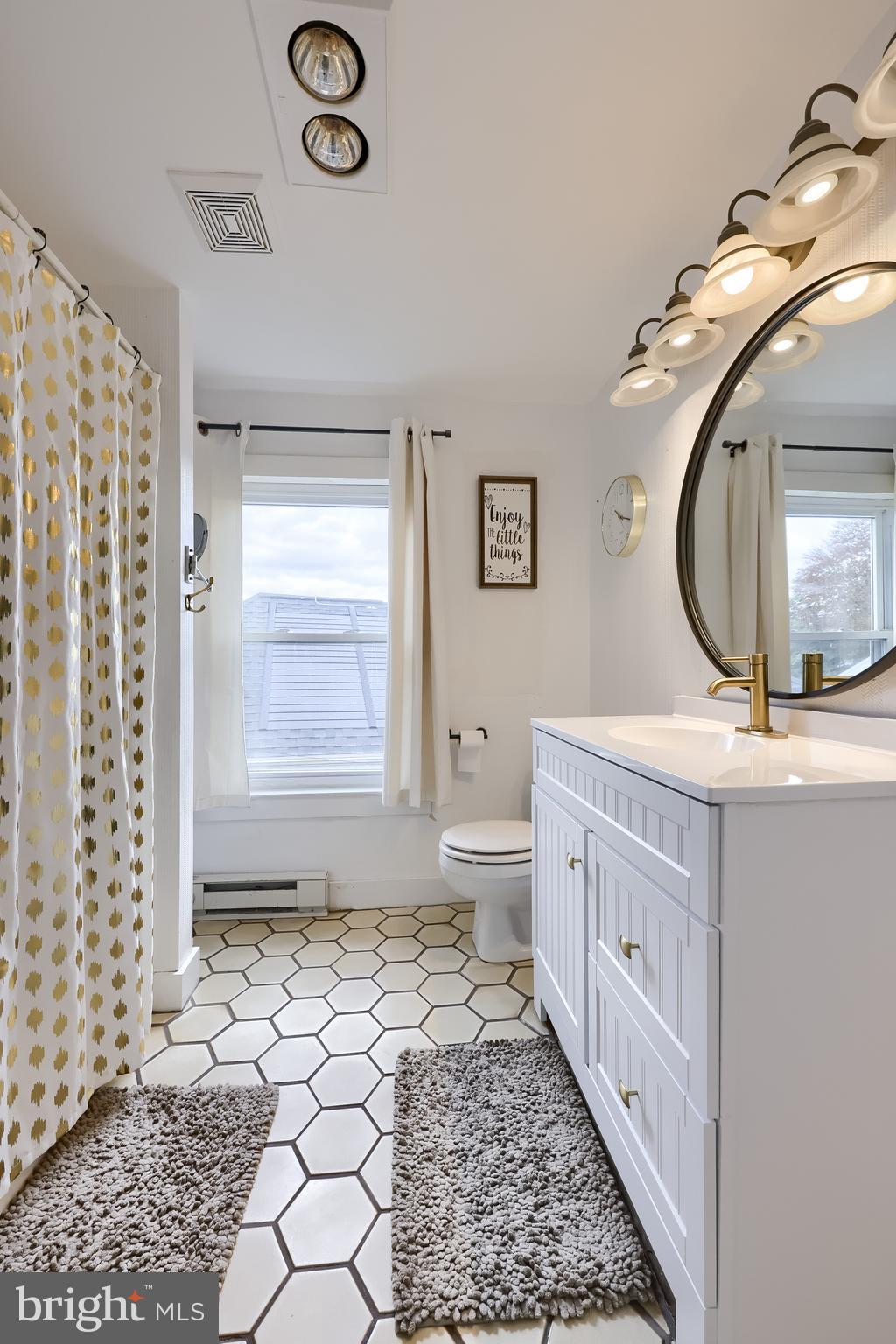 920 Chestnut Street Akron, PA 17501 - Photo 34 of 41 a bathroom with a double vanity sink a toilet and a mirror
