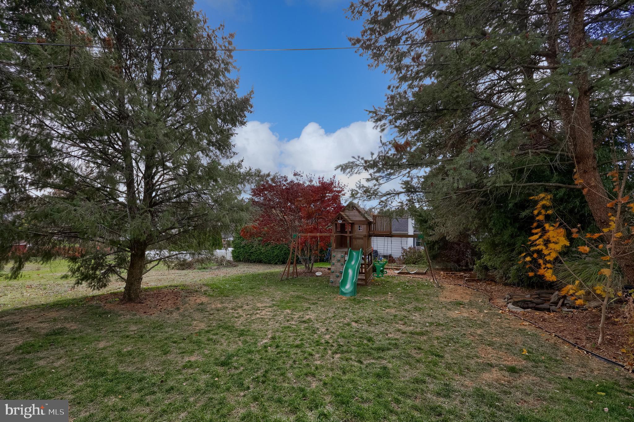 920 Chestnut Street Akron, PA 17501 - Photo 39 of 41 a view of a tree in a yard