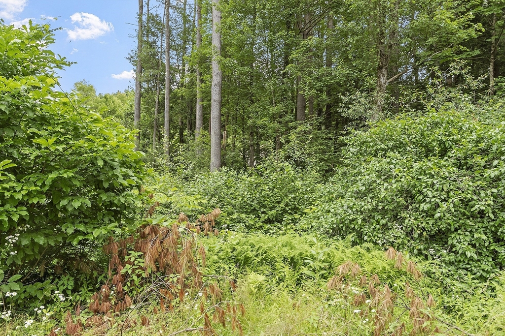 1010 South Athol Road Athol, MA 01331 - Photo 7 of 32 Gallery Image 7