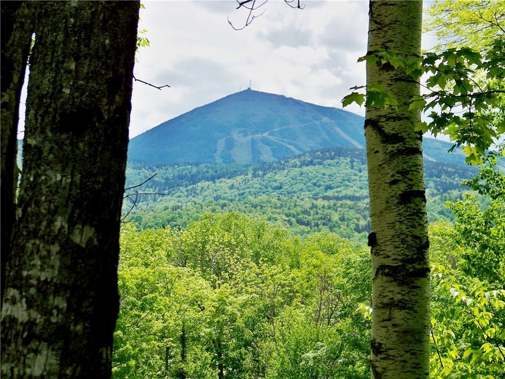 2011 Fox Hollow Road Carrabassett Valley, ME 04947 - Photo 13 of 16 Summertime view