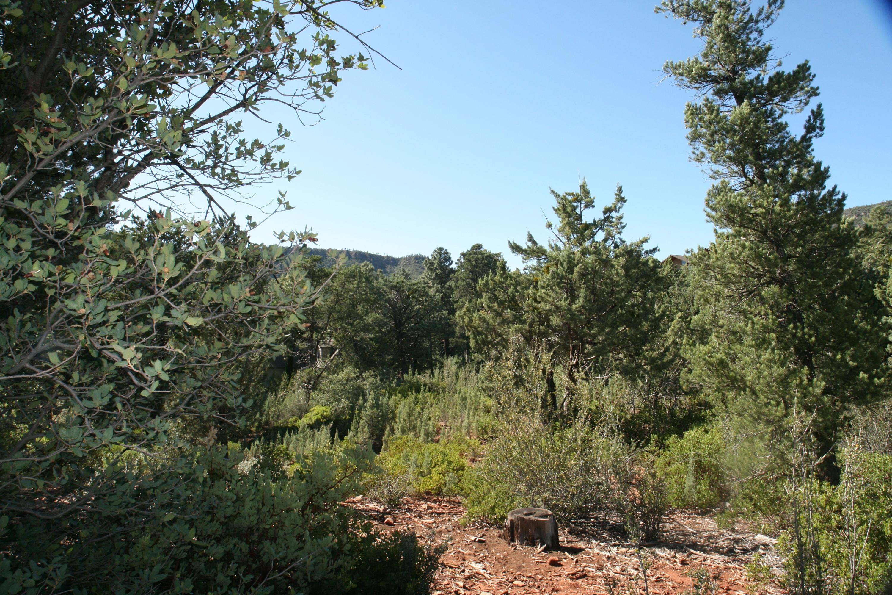 8 North H N Valley View Rd Pine Pine, AZ 85544 - Photo 6 of 9