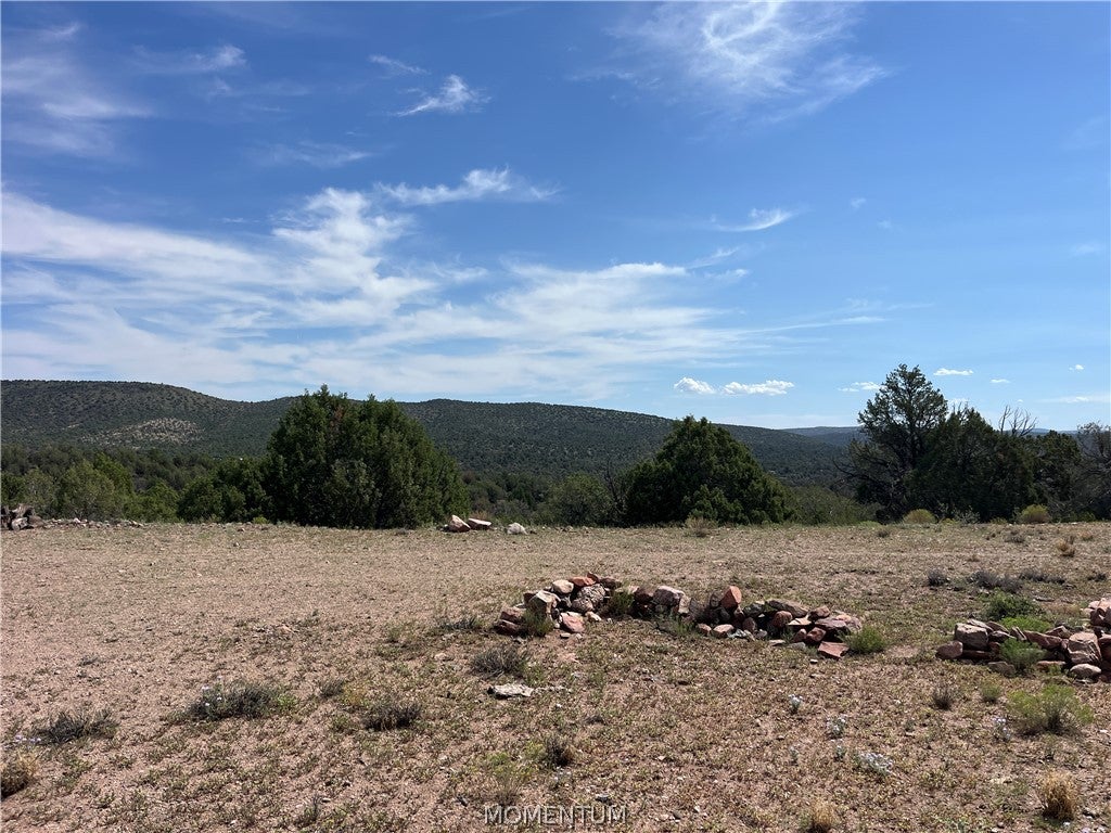 352-33-004 North Willows Ranch Road Kingman, AZ 86401 - Photo 5 of 16 Gallery Image 5