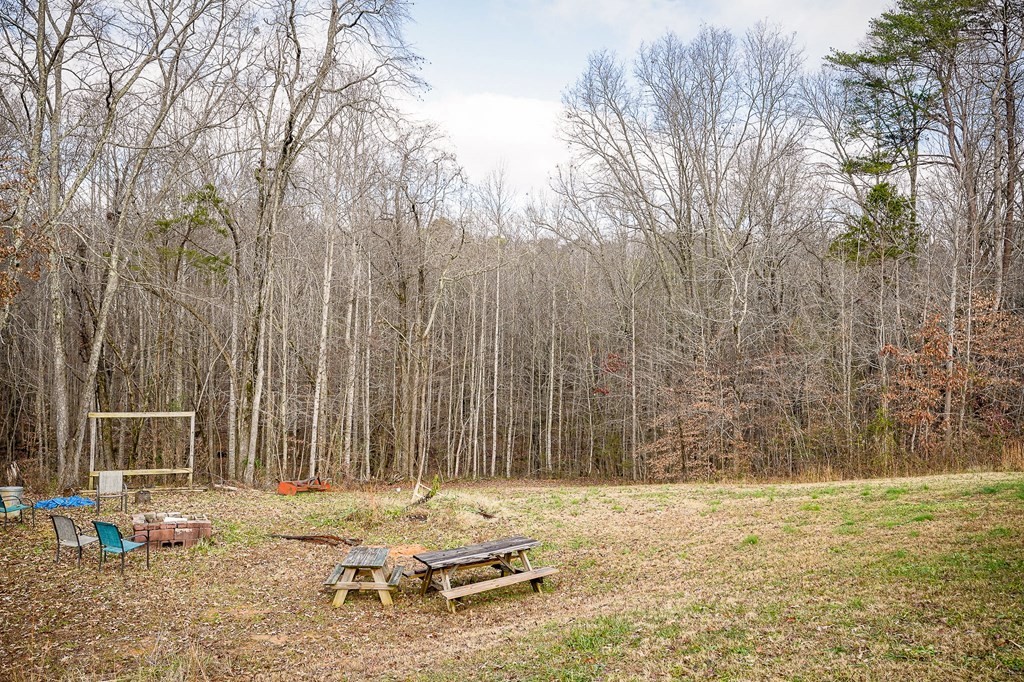 582 Doug Luna Road Walling, TN 38587 - Photo 30 of 47 a view of a backyard with chairs