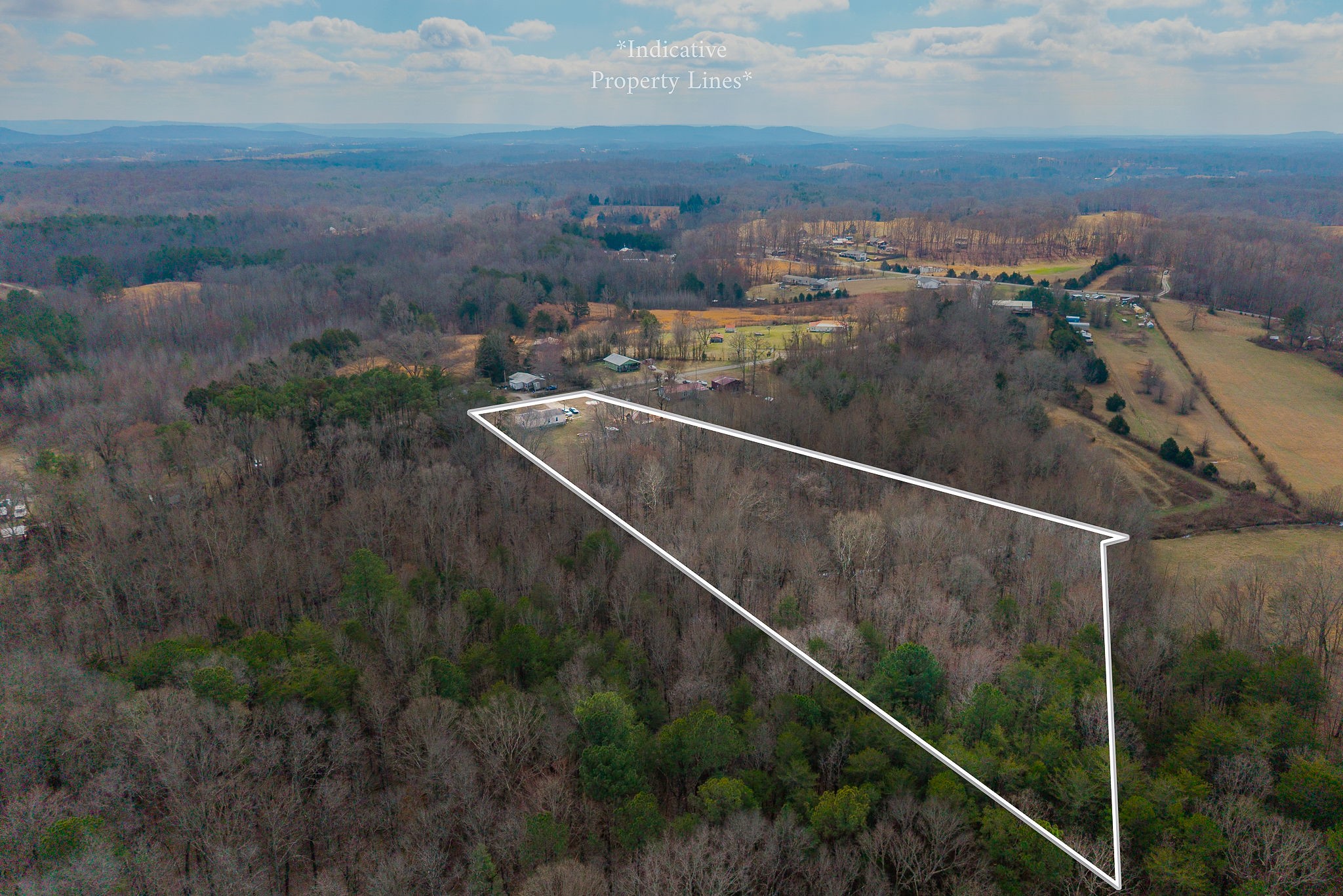 582 Doug Luna Road Walling, TN 38587 - Photo 41 of 47 an aerial view of residential houses with outdoor space and trees