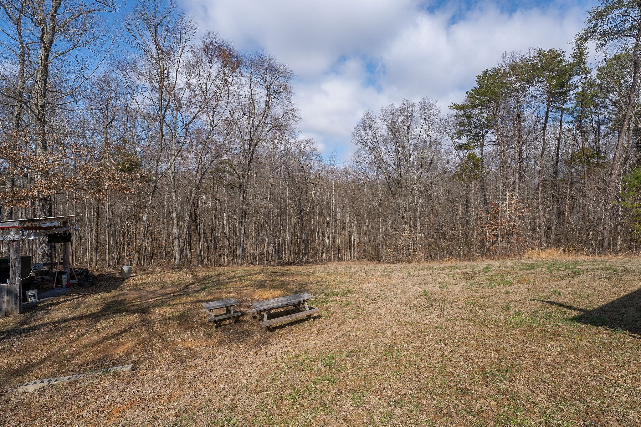 582 Doug Luna Road Walling, TN 38587 - Photo 43 of 47 a view of outdoor space with trees