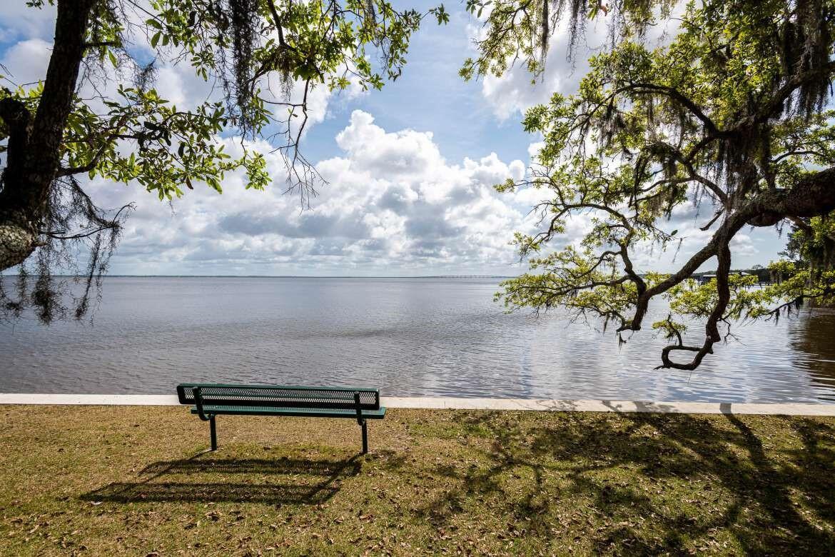 148 Piper Cove Santa Rosa Beach, FL 32459 - Photo 30 of 35 a view of a yard with a tree