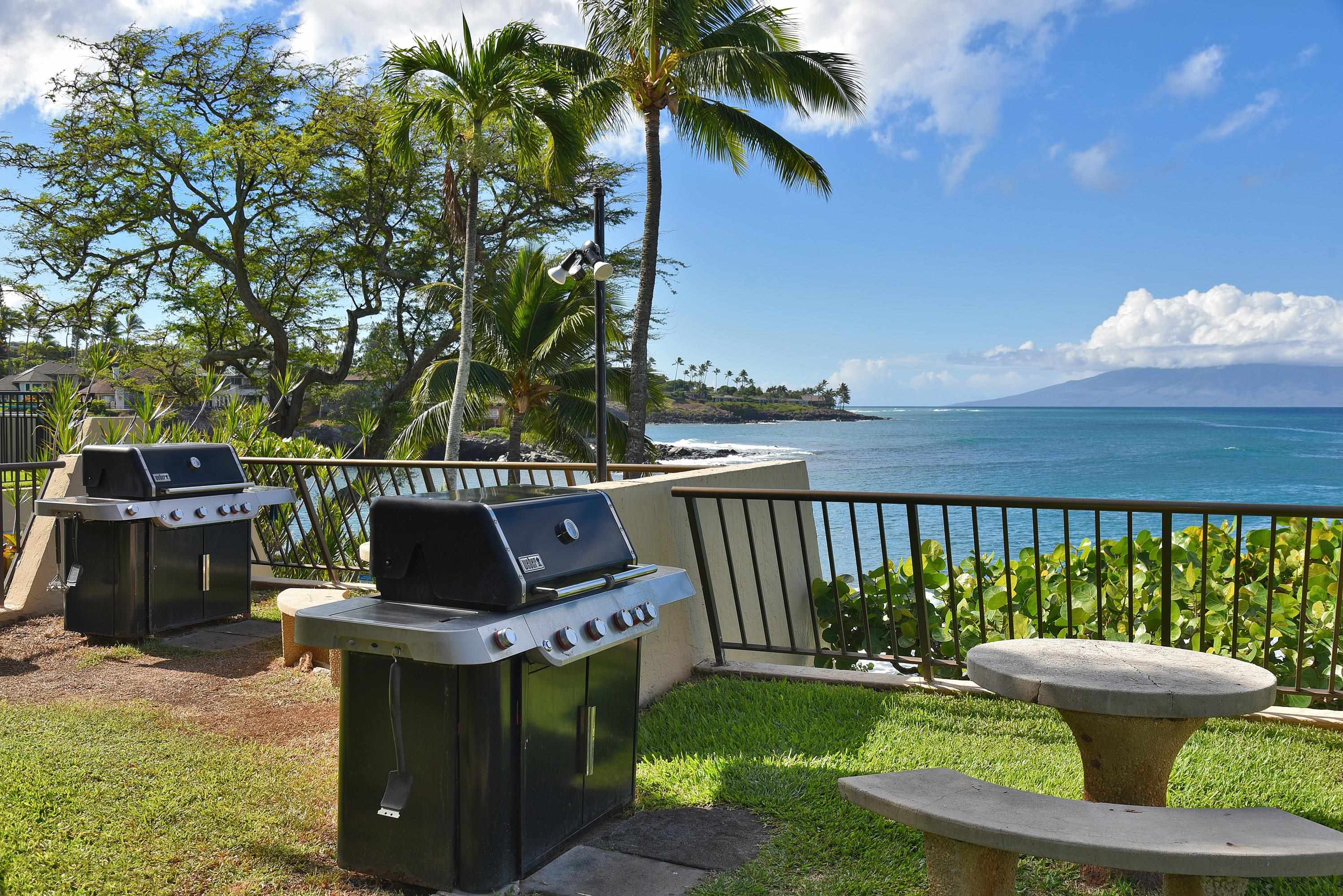 5295 Lower Honoapiilani Road, Unit B5 Lahaina, HI 96761 - Photo 37 of 50