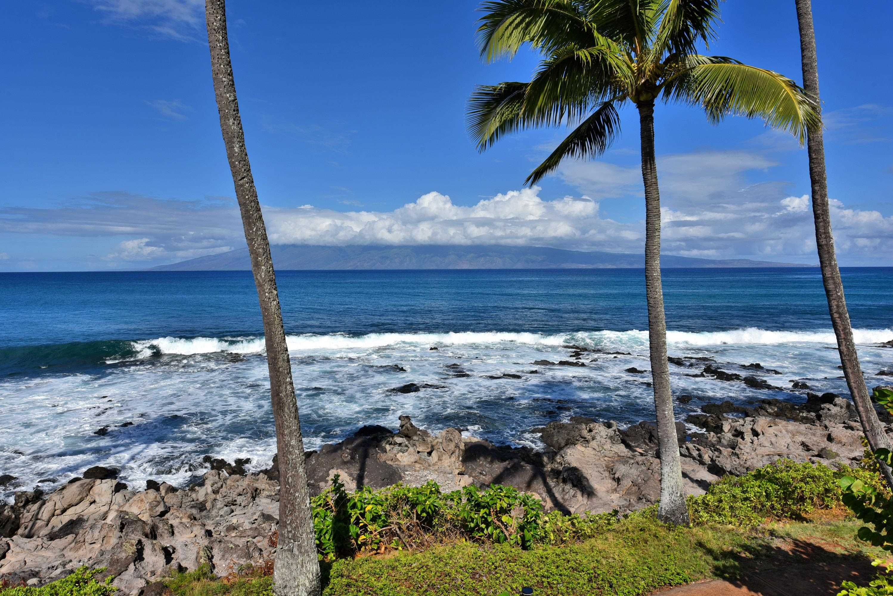 5295 Lower Honoapiilani Road, Unit B5 Lahaina, HI 96761 - Photo 38 of 50