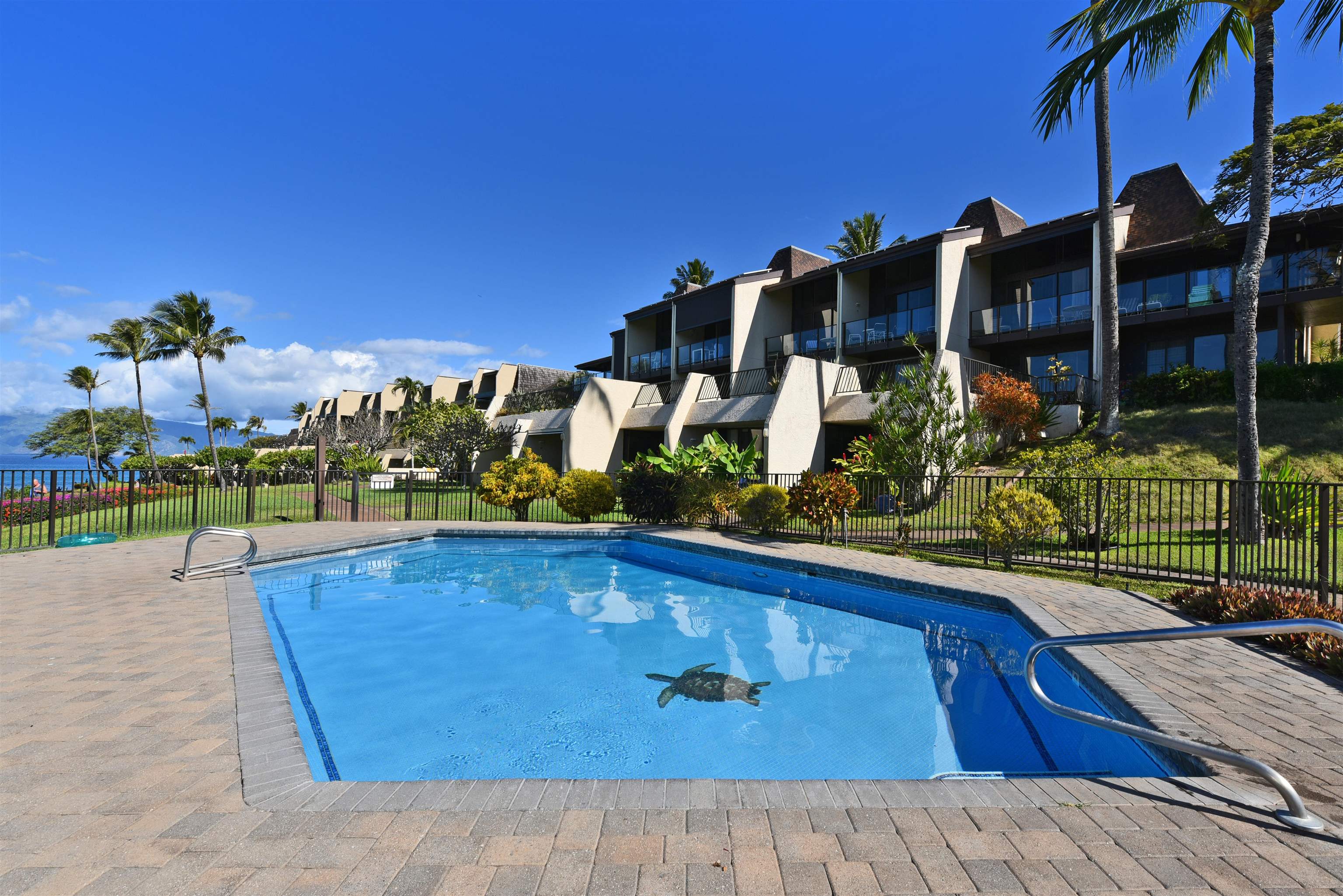 5295 Lower Honoapiilani Road, Unit B5 Lahaina, HI 96761 - Photo 43 of 50