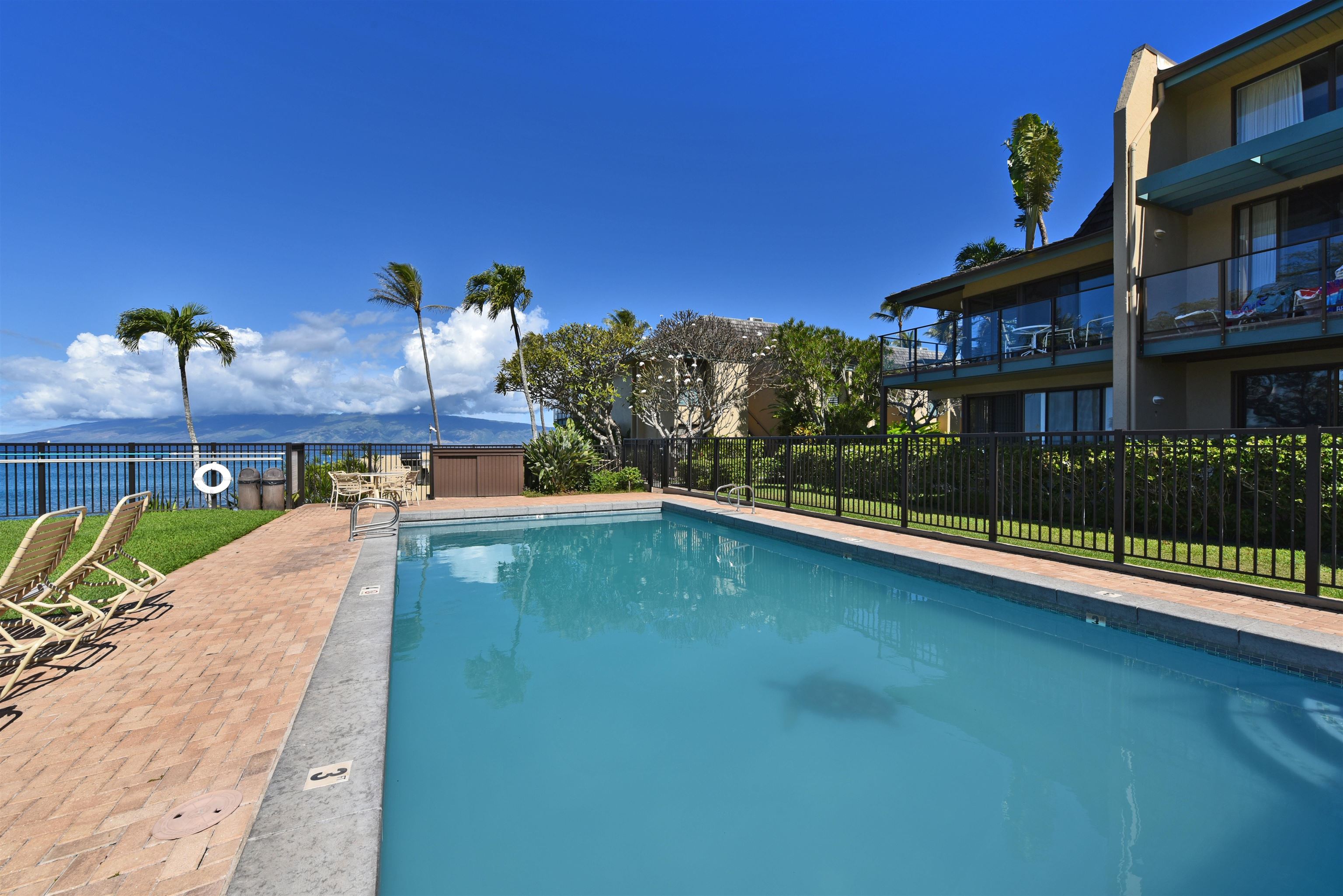 5295 Lower Honoapiilani Road, Unit B5 Lahaina, HI 96761 - Photo 48 of 50
