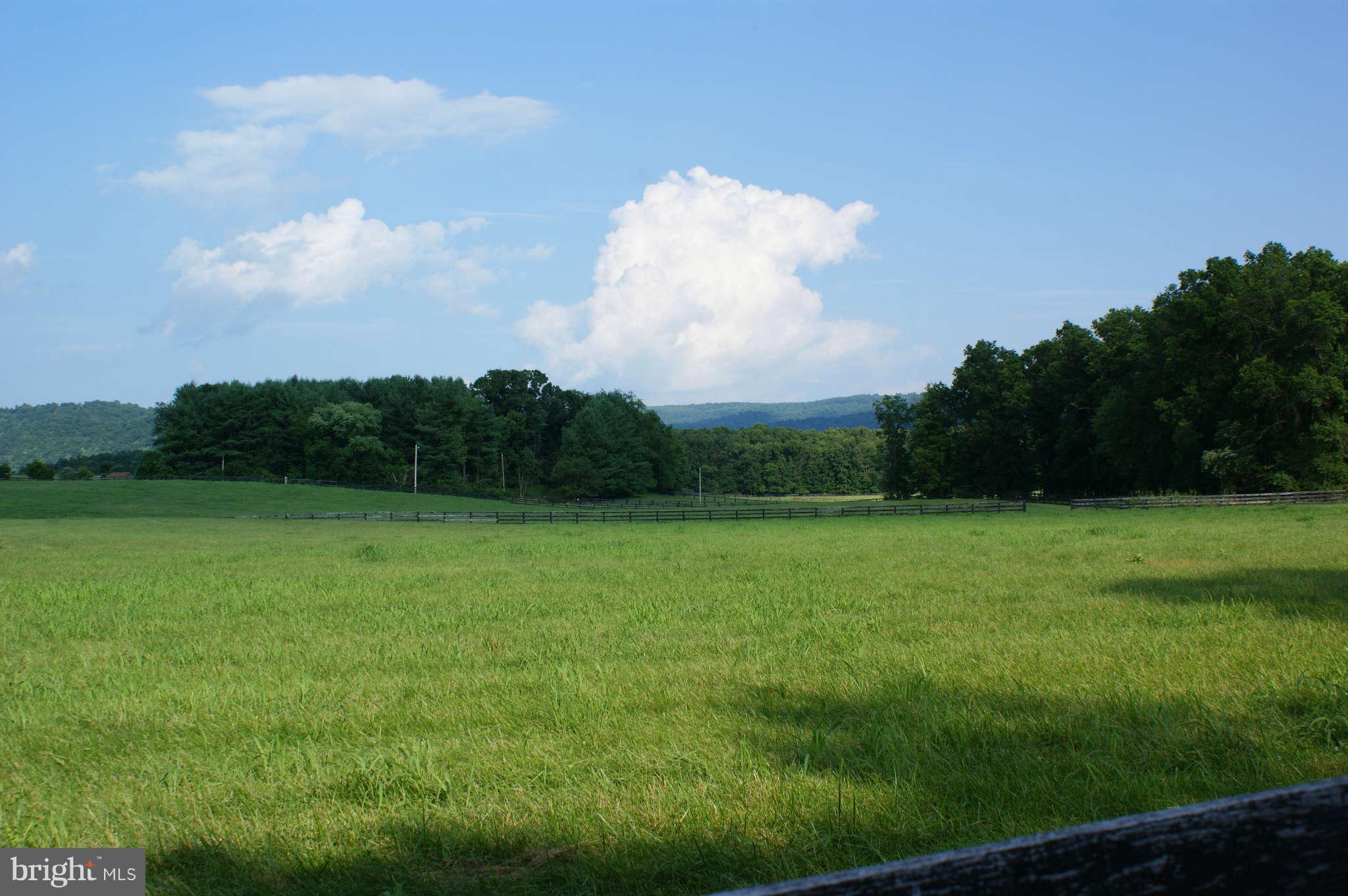 477 Tilthammer Mill Road Boyce, VA 22620 - Photo 1 of 9 Exterior General