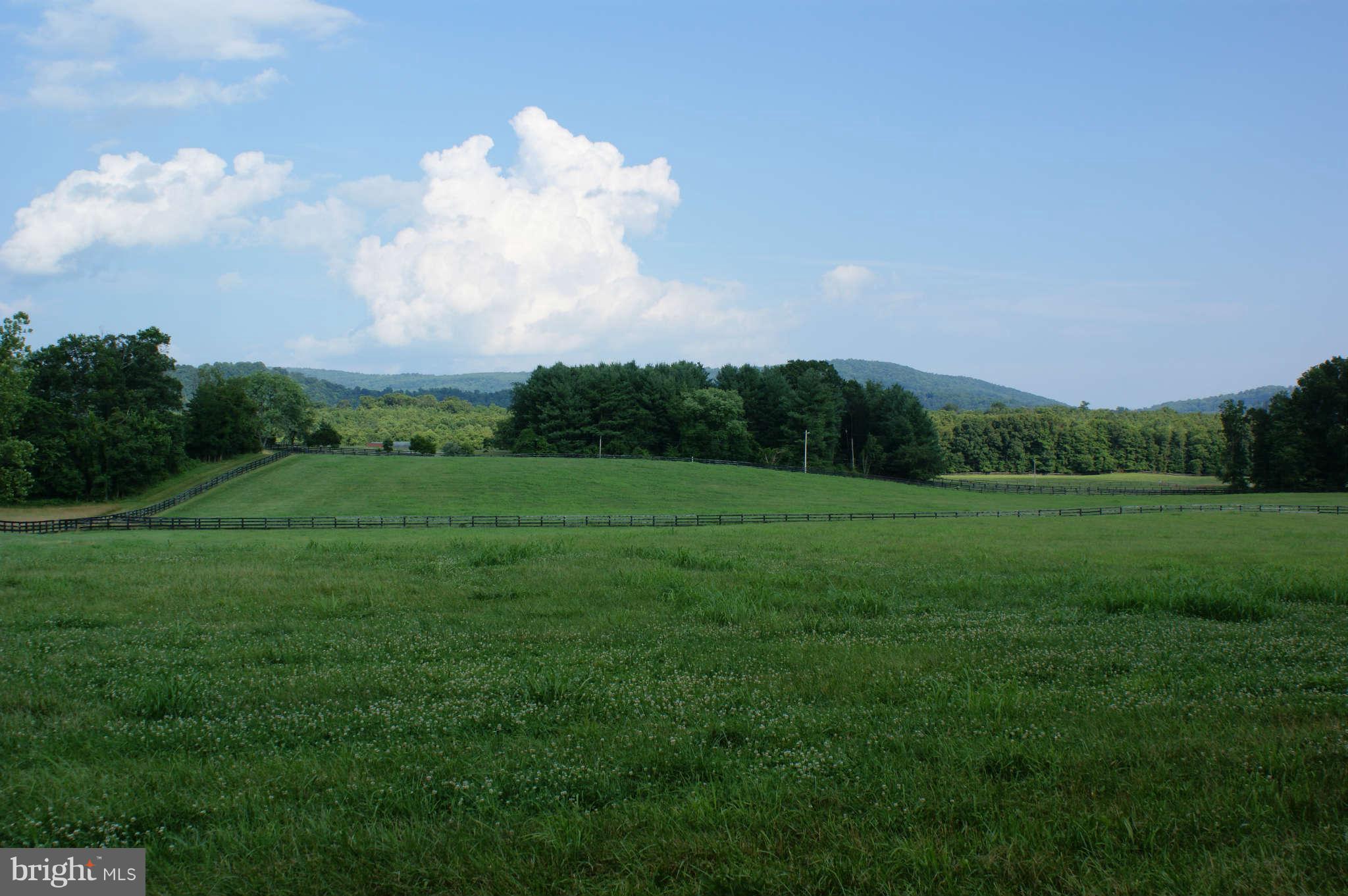 477 Tilthammer Mill Road Boyce, VA 22620 - Photo 3 of 9 View