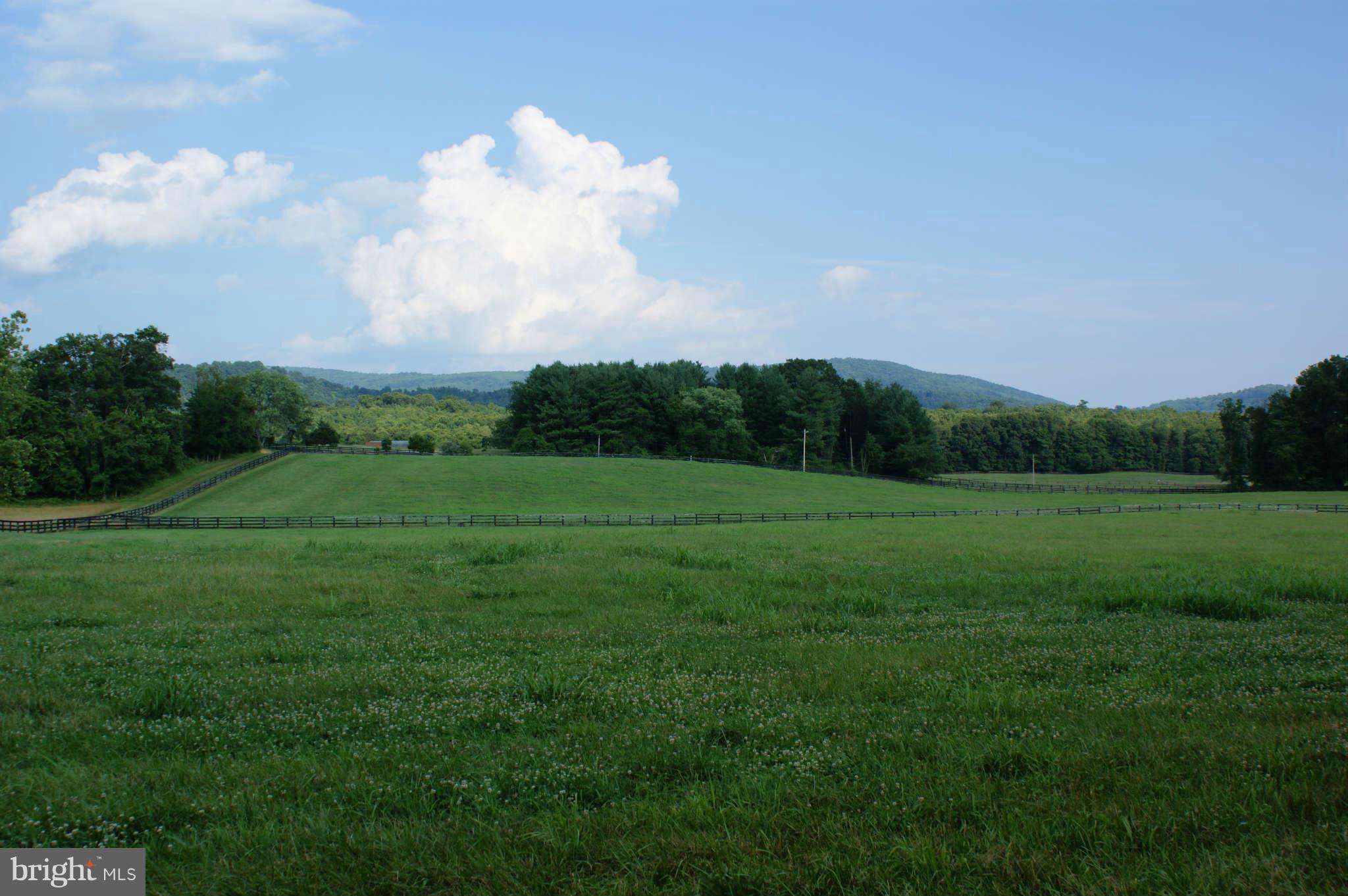 477 Tilthammer Mill Road Boyce, VA 22620 - Photo 4 of 9 View