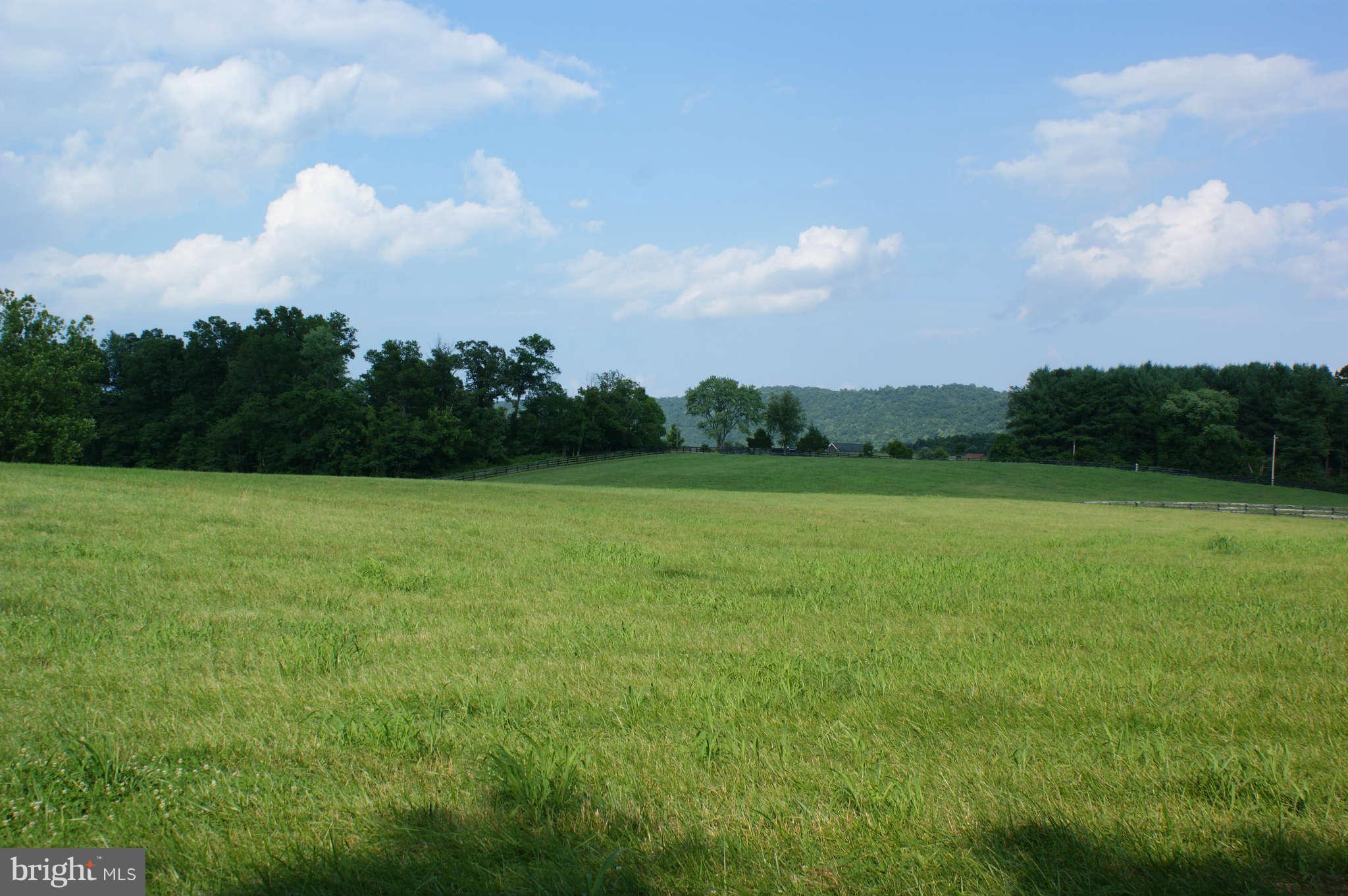477 Tilthammer Mill Road Boyce, VA 22620 - Photo 5 of 9 View