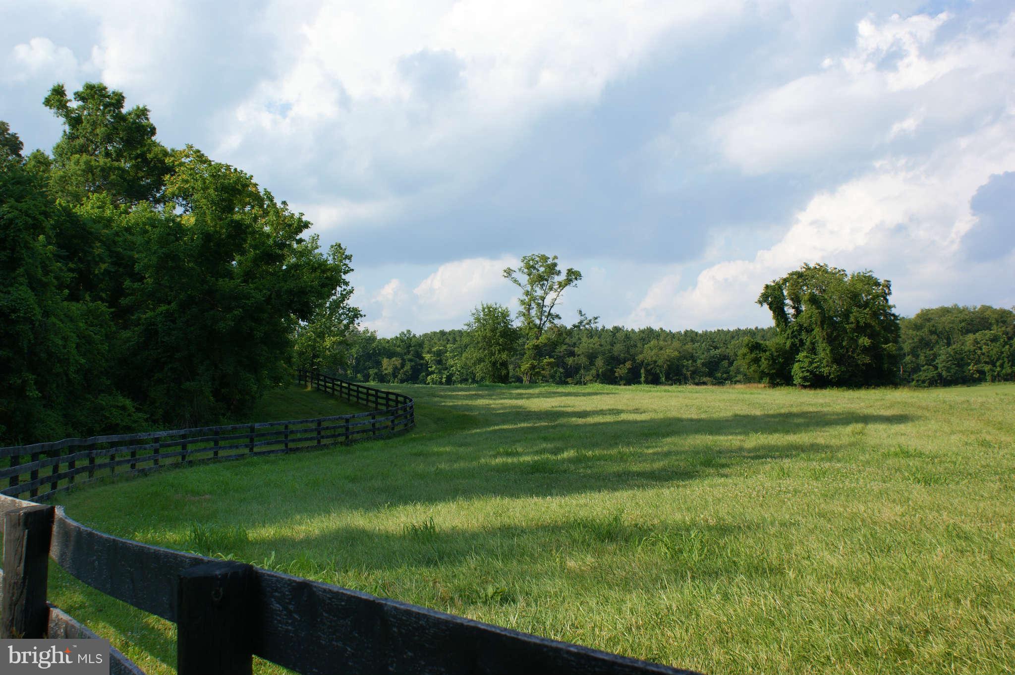 477 Tilthammer Mill Road Boyce, VA 22620 - Photo 6 of 9 View