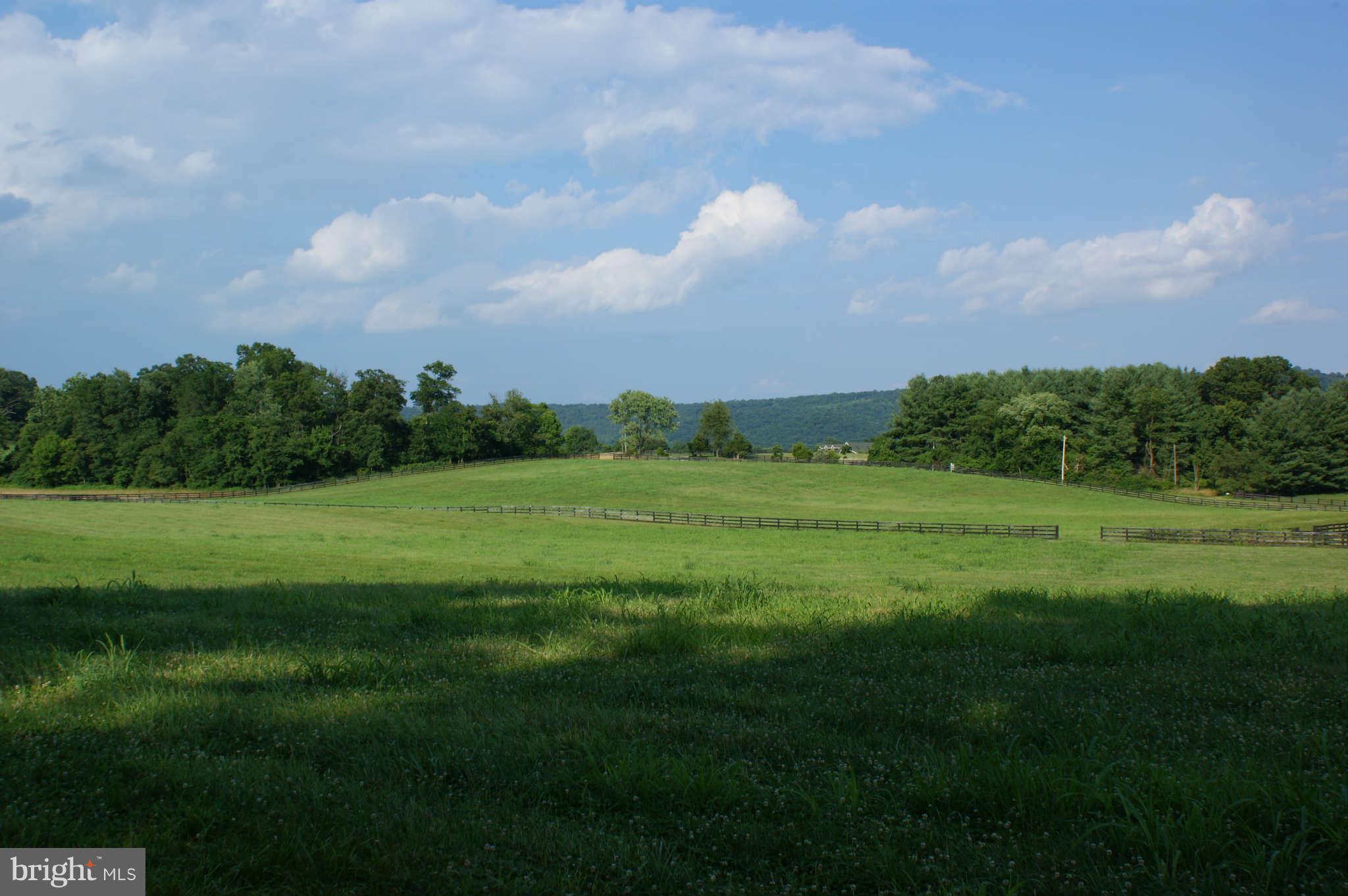 477 Tilthammer Mill Road Boyce, VA 22620 - Photo 7 of 9 View