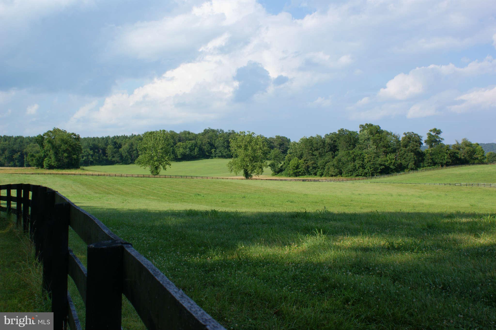 477 Tilthammer Mill Road Boyce, VA 22620 - Photo 8 of 9 View