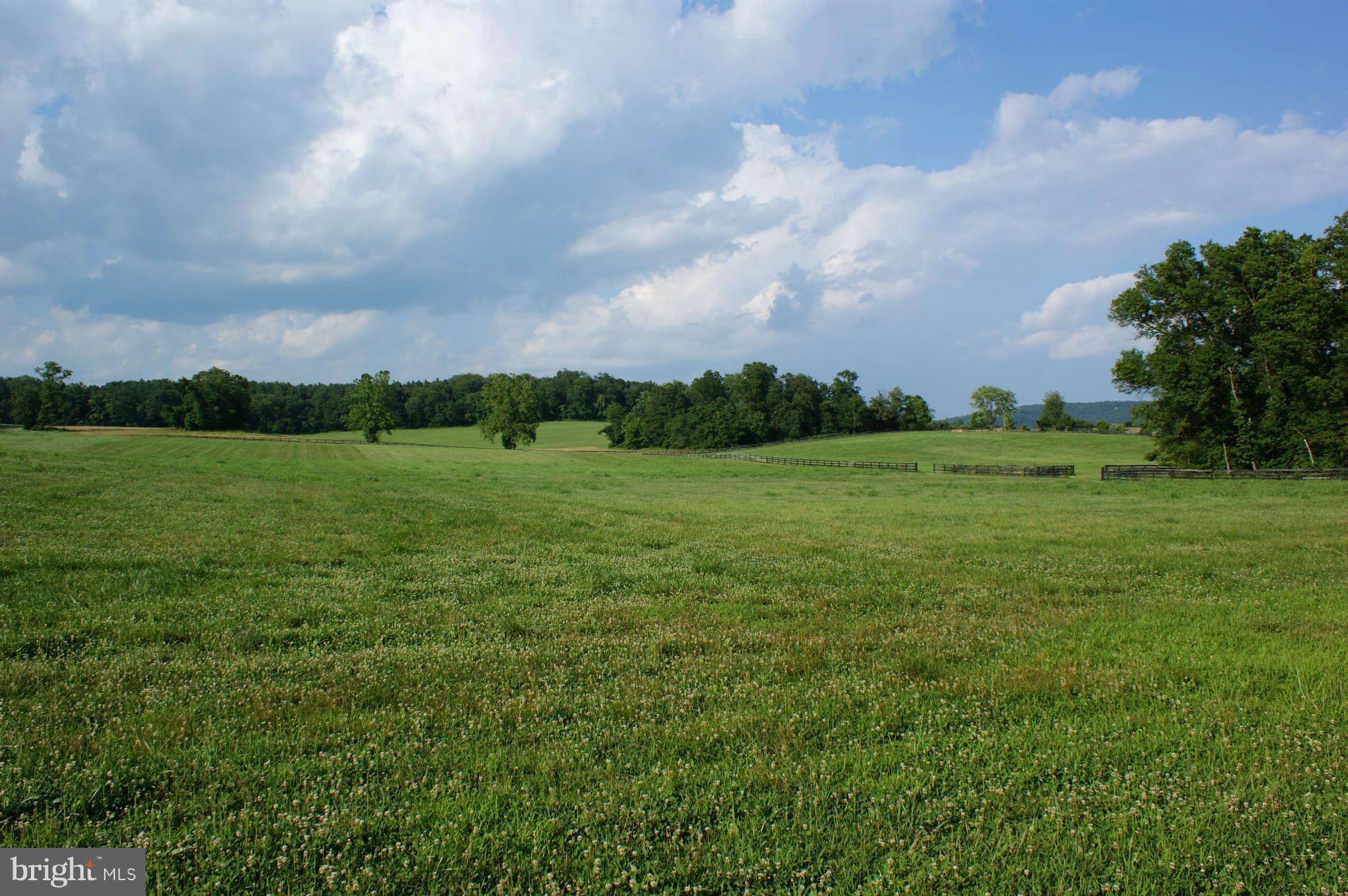 477 Tilthammer Mill Road Boyce, VA 22620 - Photo 9 of 9 View