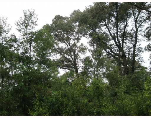5 Chinquapin Road, Unit AC Lucedale, MS 39452 - Photo 1 of 8 Primary Photo