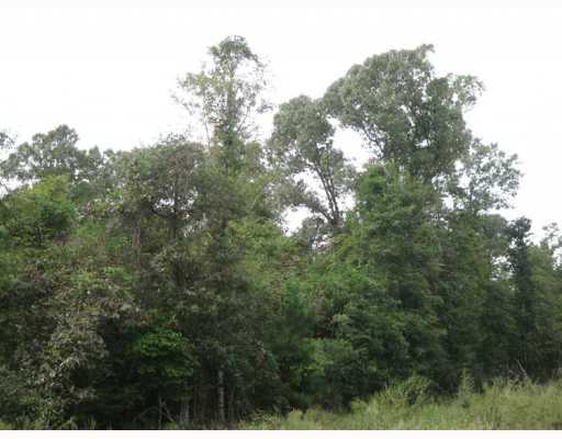 5 Chinquapin Road, Unit AC Lucedale, MS 39452 - Photo 3 of 8 Additional Photo