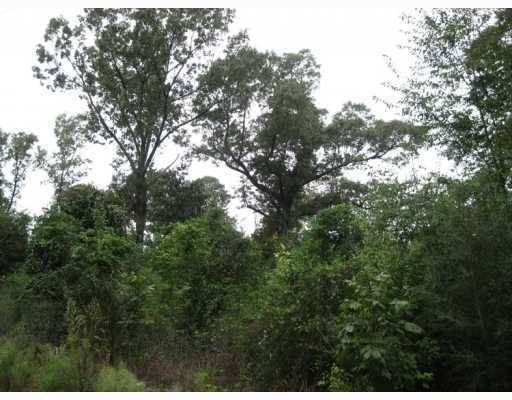 5 Chinquapin Road, Unit AC Lucedale, MS 39452 - Photo 4 of 8 Additional Photo