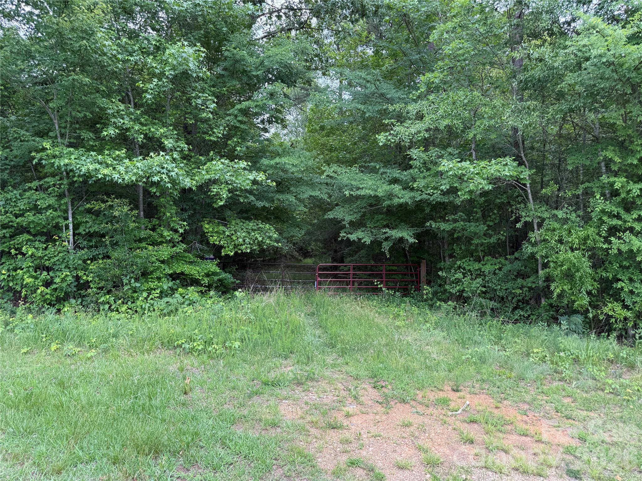0 Herbert Faucette Road Bullock, NC 27507 - Photo 9 of 40