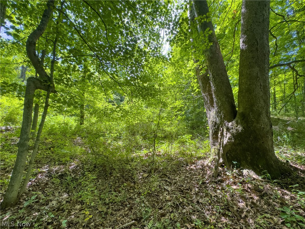 5 Jake Road Patriot, OH 45658 - Photo 8 of 17