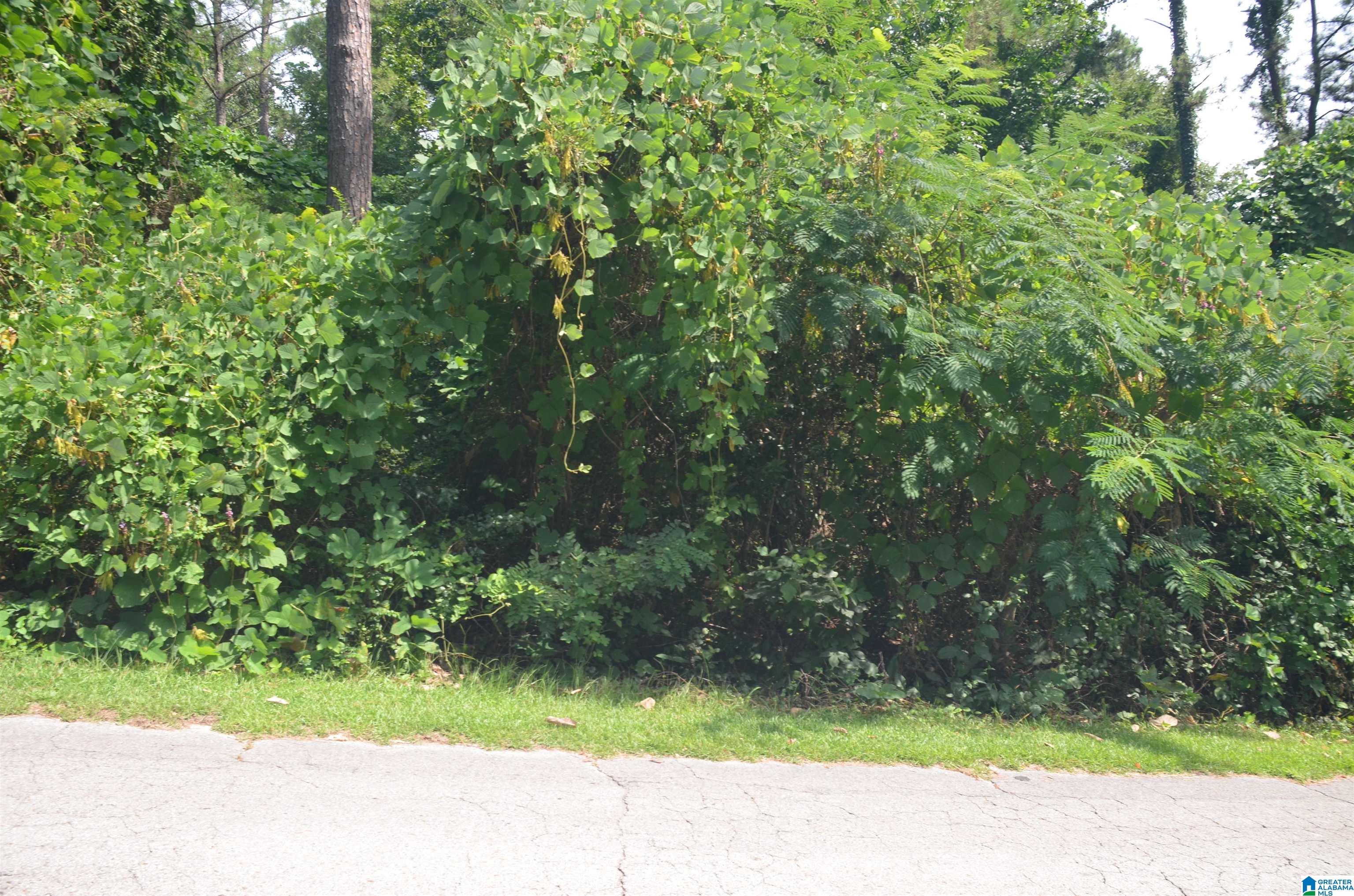 0 Hilltop Road Weaver, AL 36277 - Photo 5 of 8